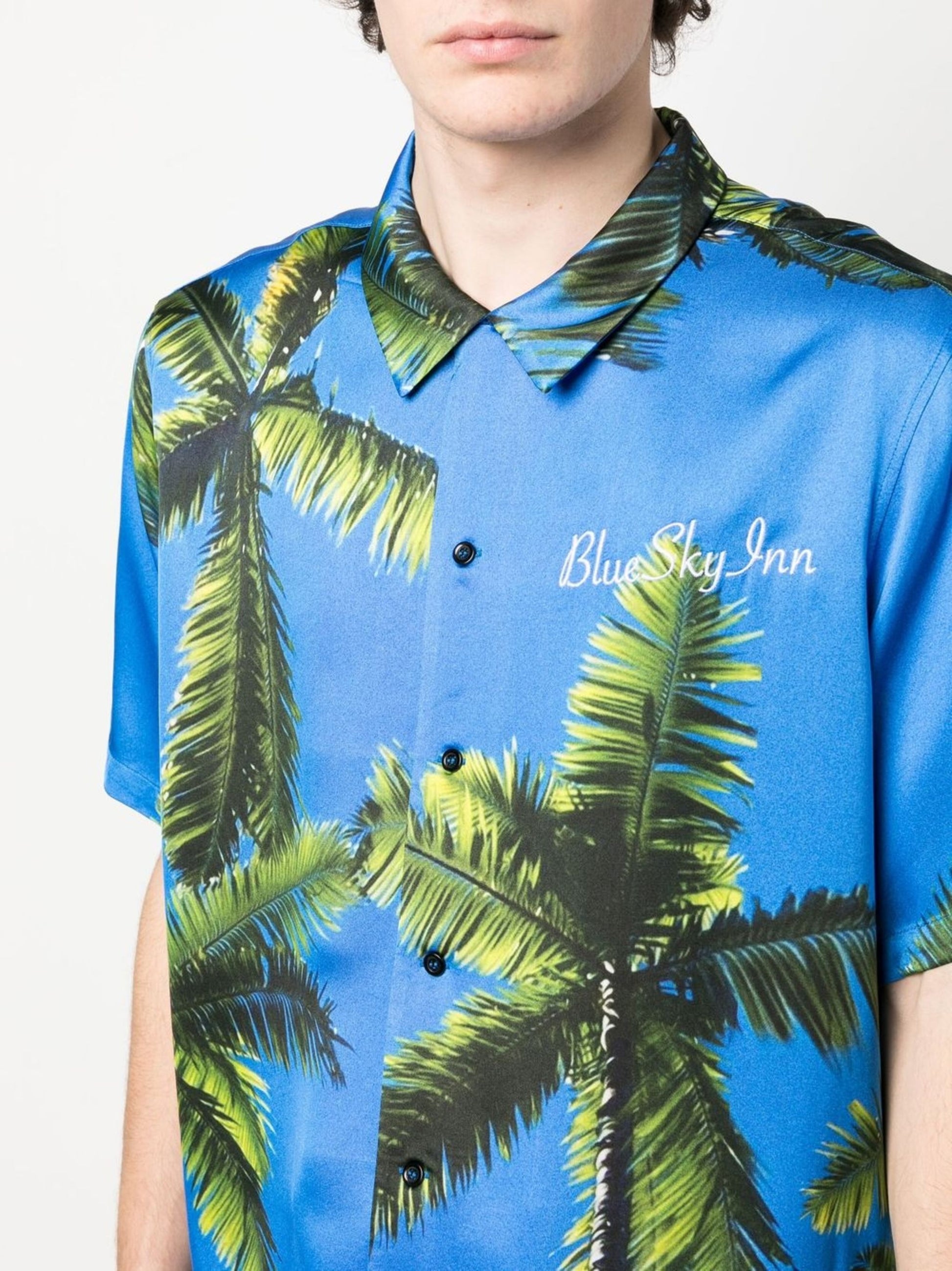 Camiseta Palms Sky