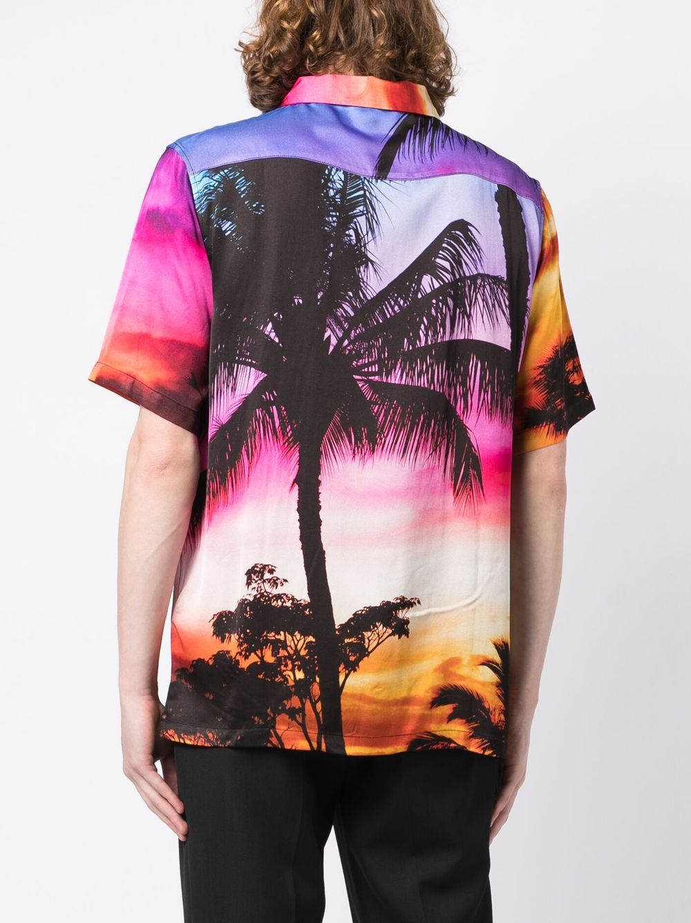 Camiseta de palmeras tropicales