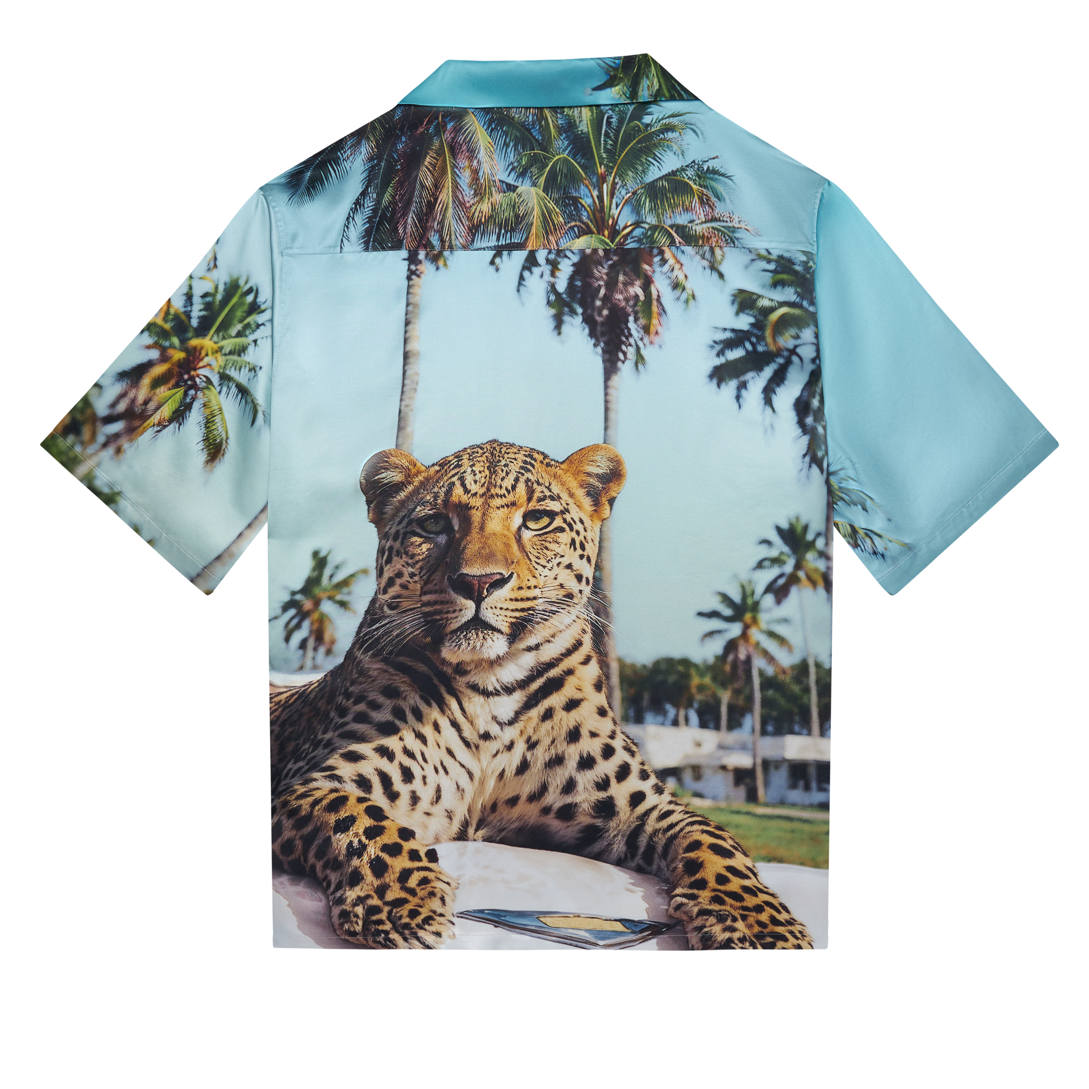 Camiseta de piscina