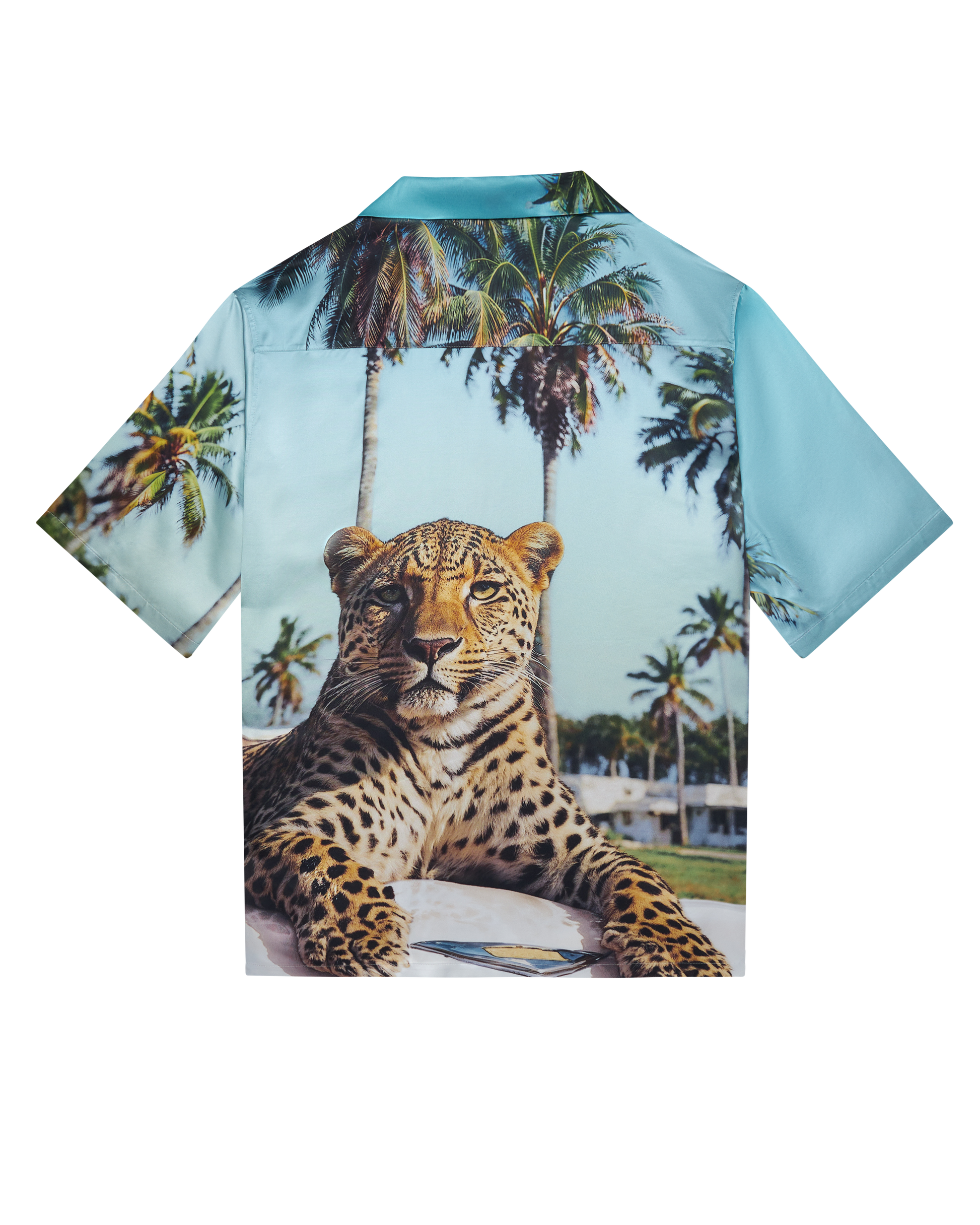 Camiseta de piscina