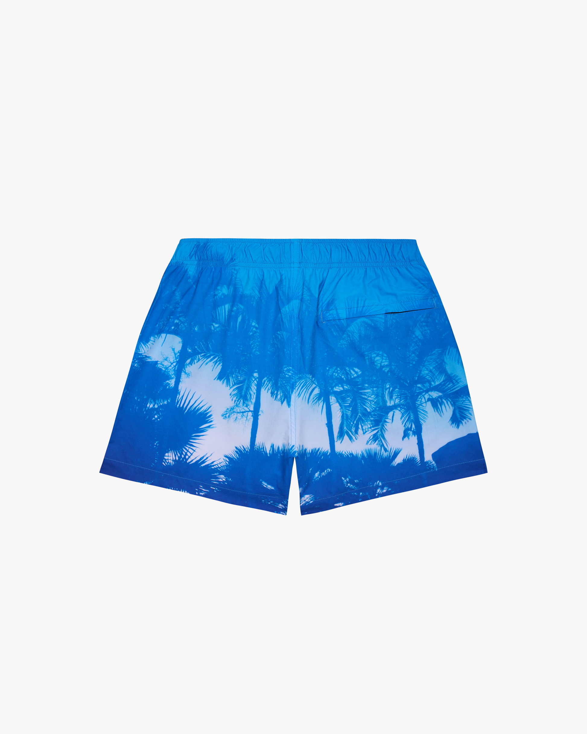 Palm Shadow Swim Shorts