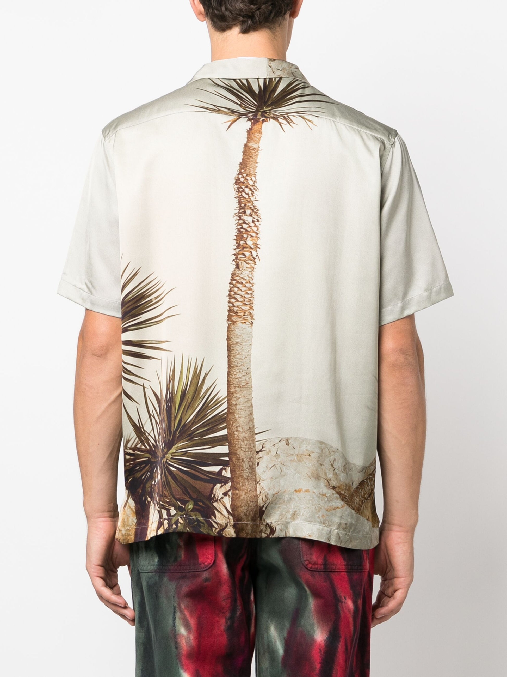 Camisa del árbol del dragón