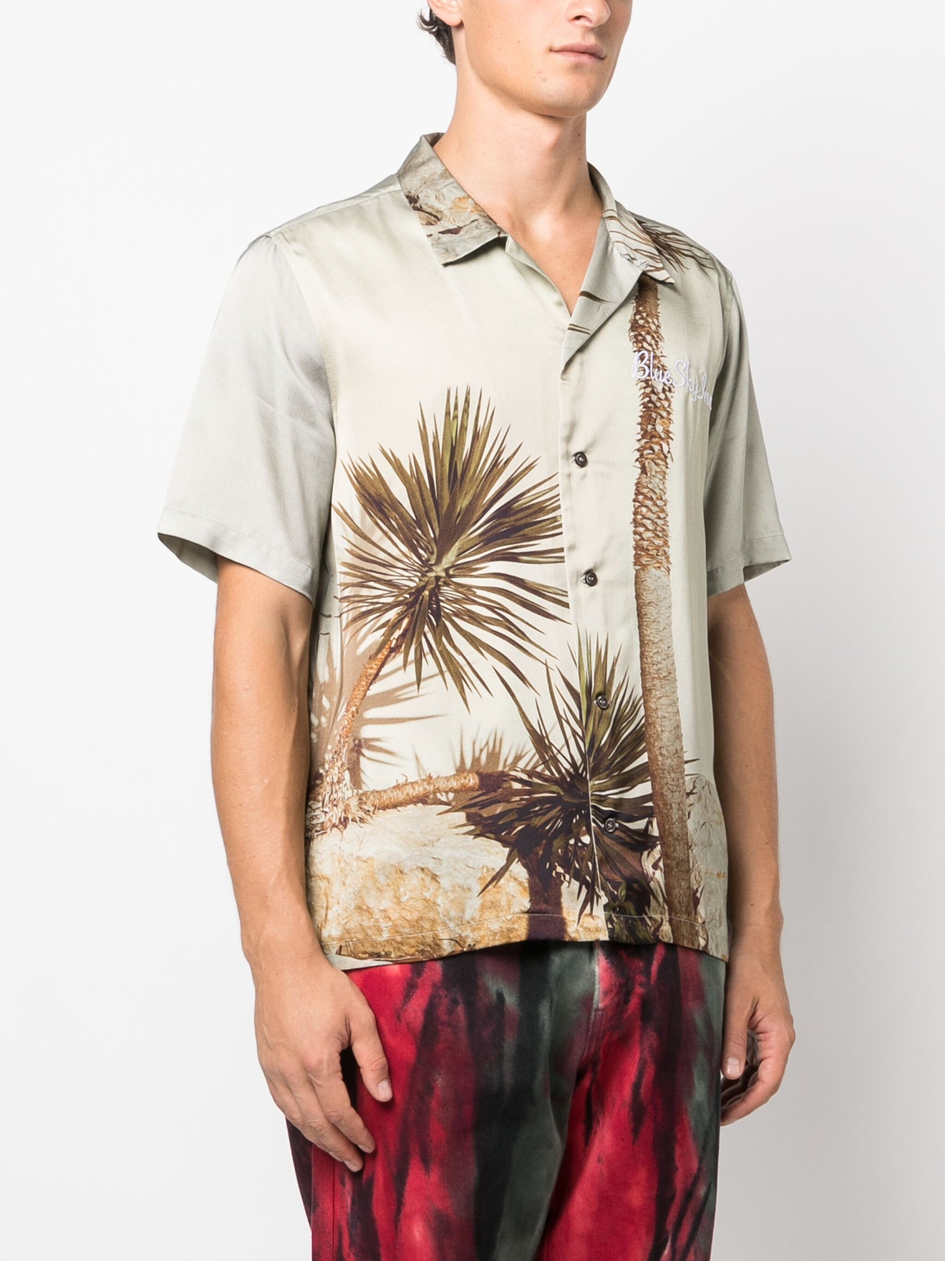 Camisa del árbol del dragón
