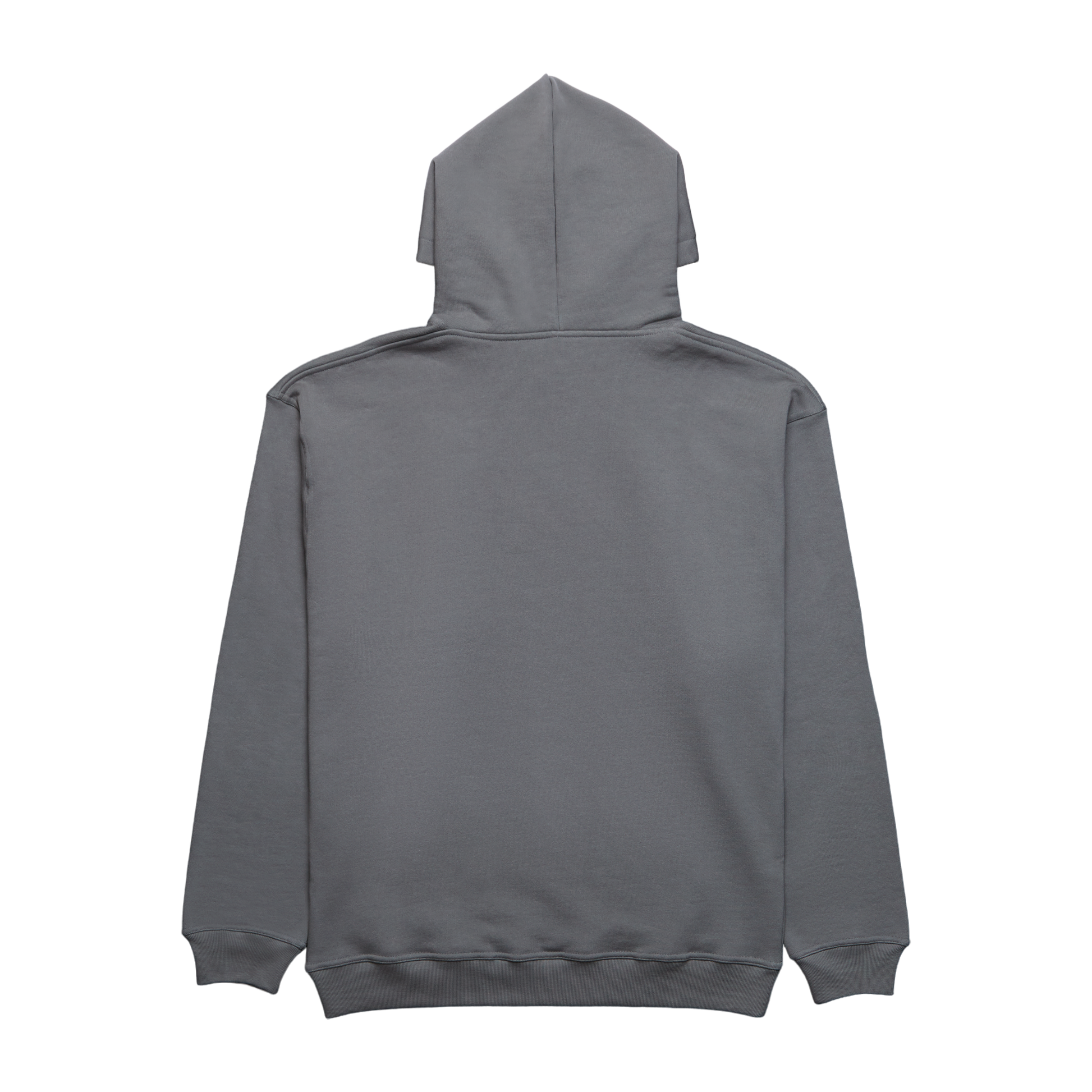 Sudadera con capucha y logotipo gris
