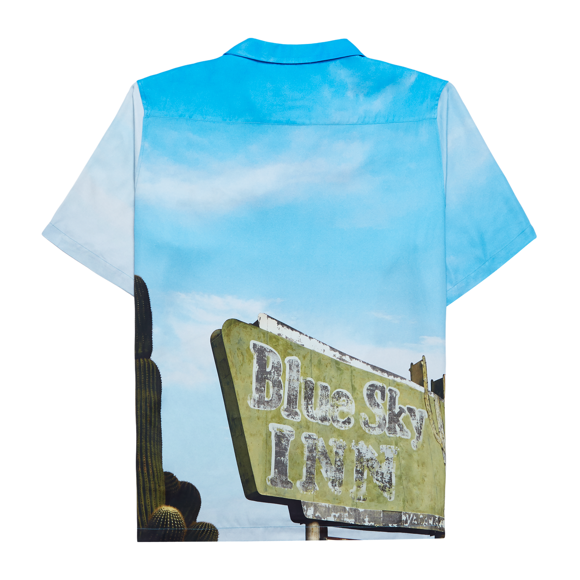 Camiseta de cactus