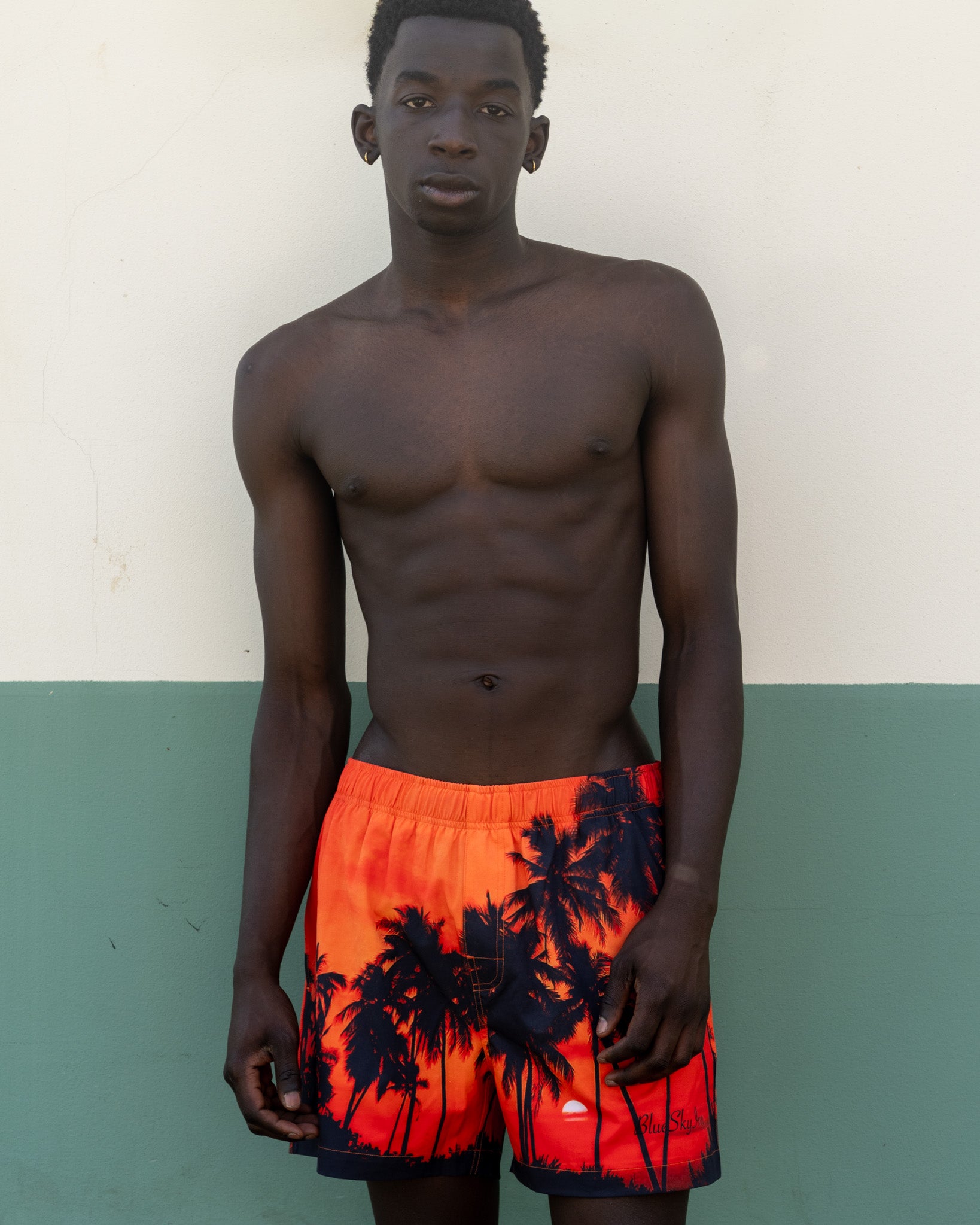Sunset Palm Swim Shorts